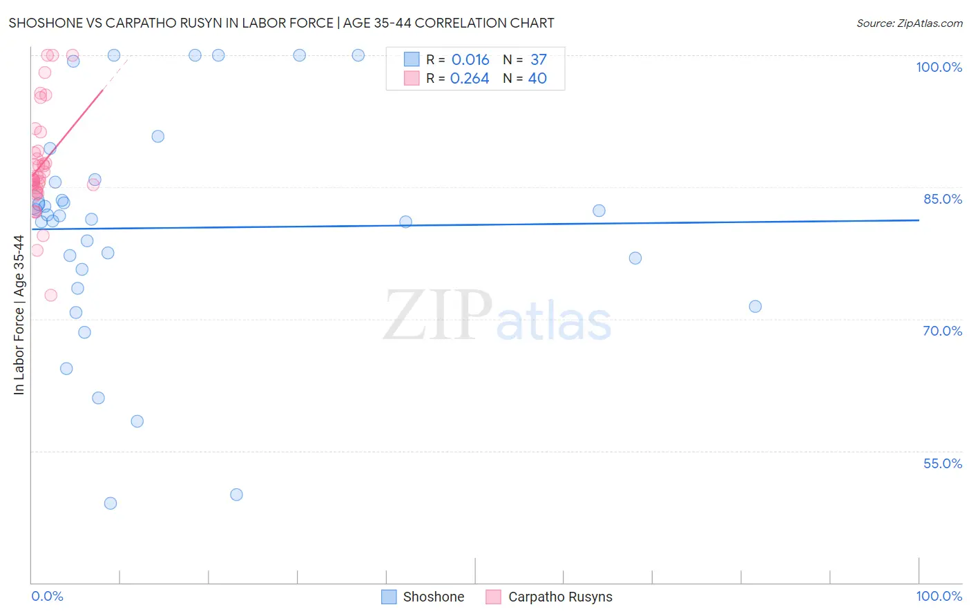 Shoshone vs Carpatho Rusyn In Labor Force | Age 35-44