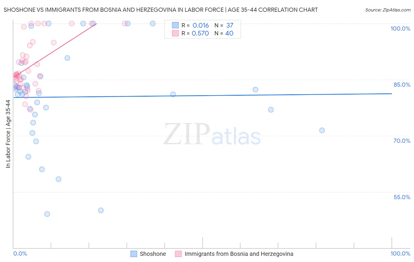 Shoshone vs Immigrants from Bosnia and Herzegovina In Labor Force | Age 35-44