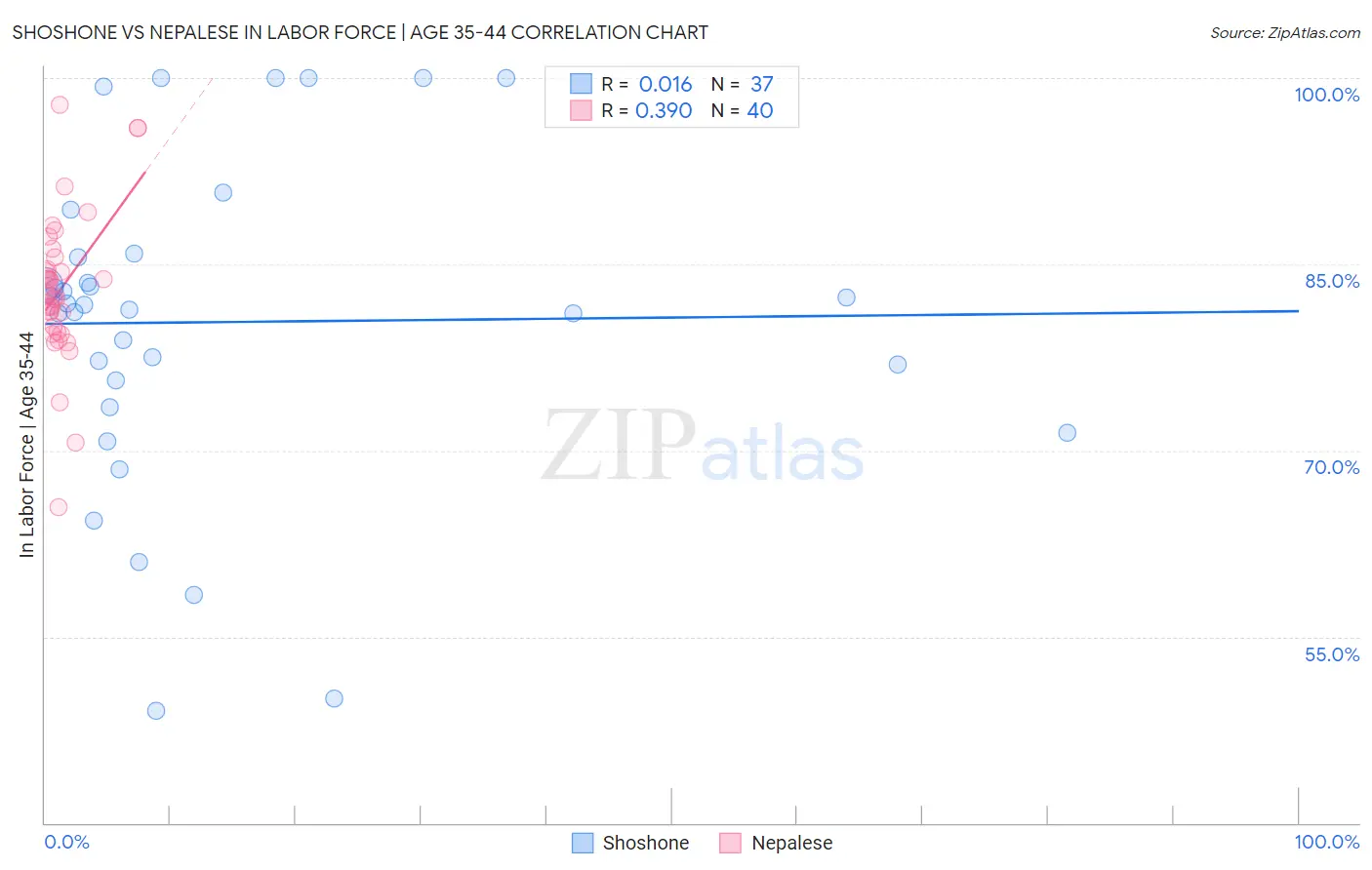 Shoshone vs Nepalese In Labor Force | Age 35-44