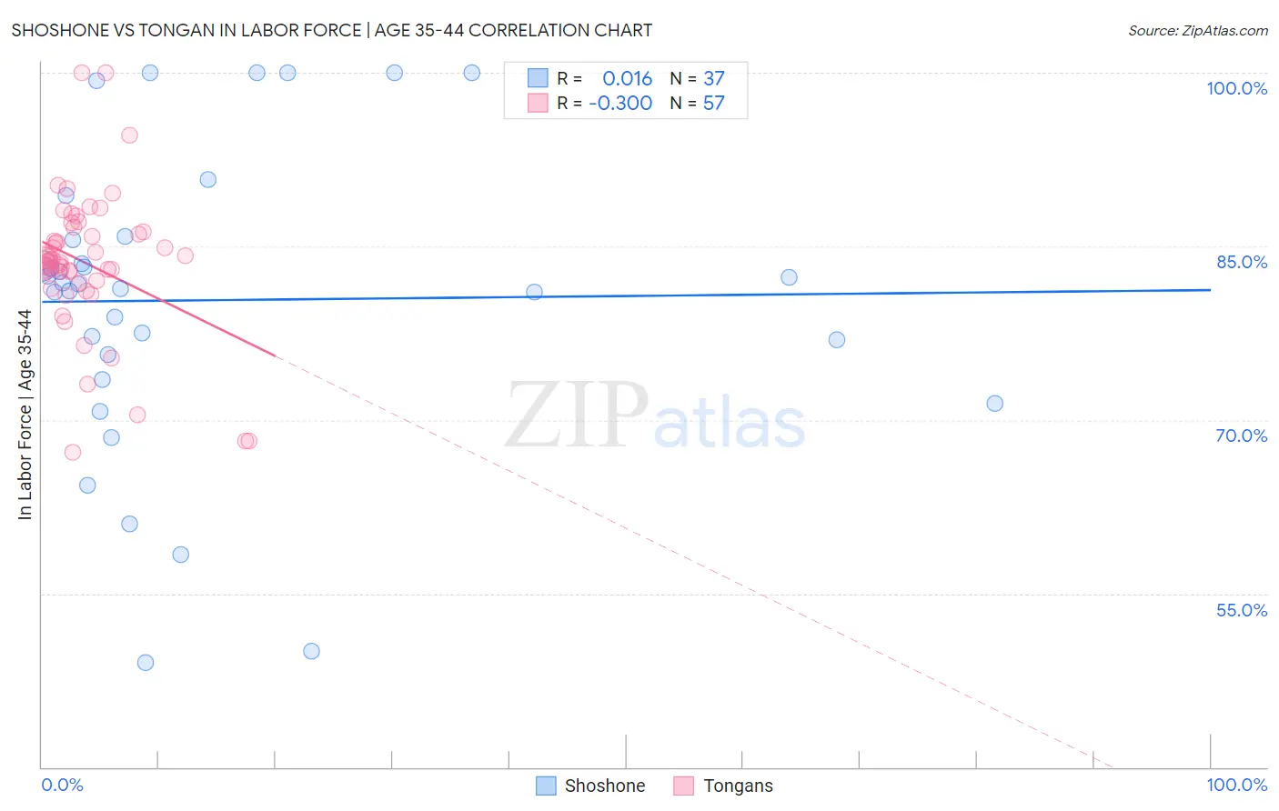 Shoshone vs Tongan In Labor Force | Age 35-44