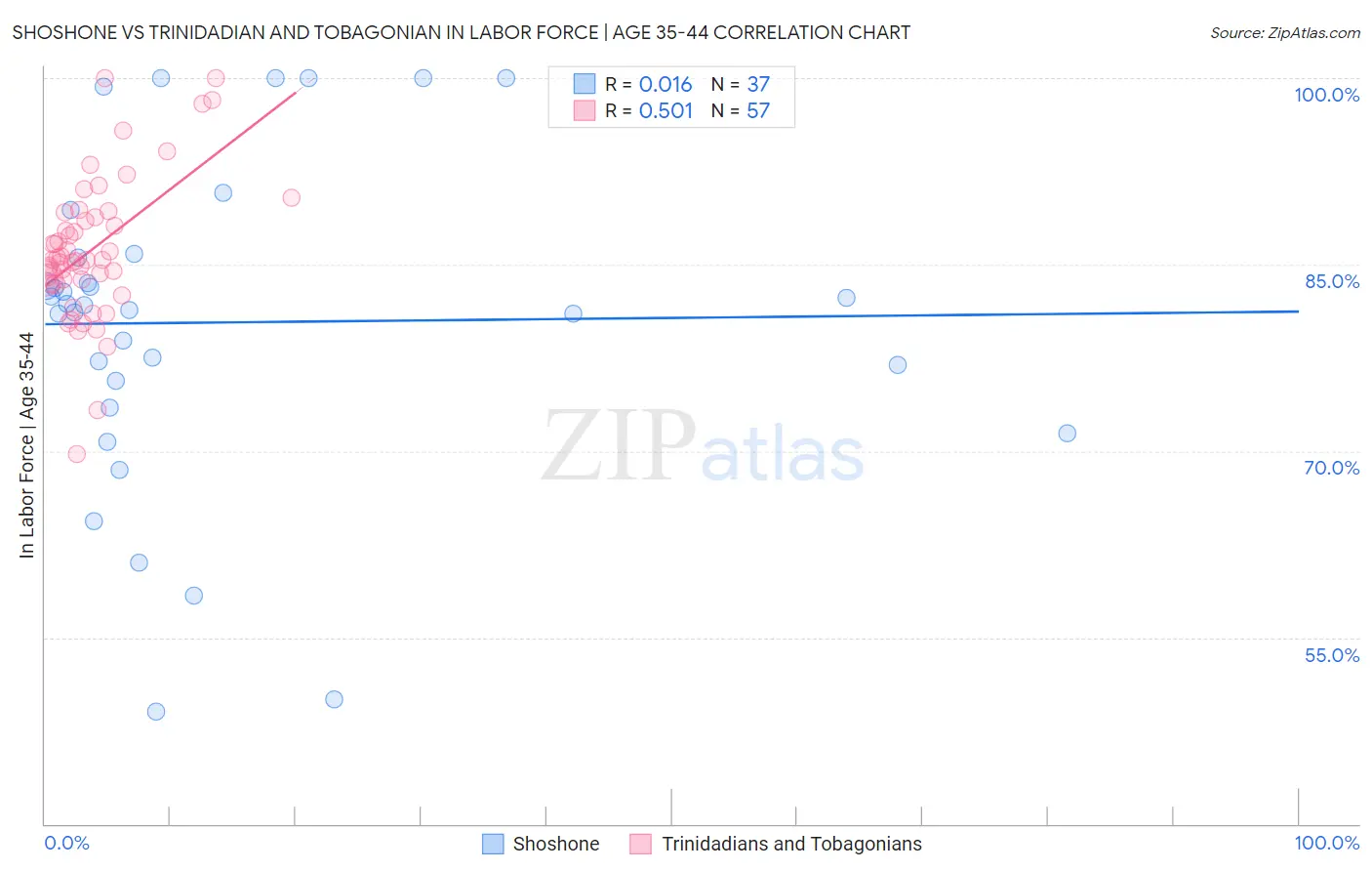 Shoshone vs Trinidadian and Tobagonian In Labor Force | Age 35-44