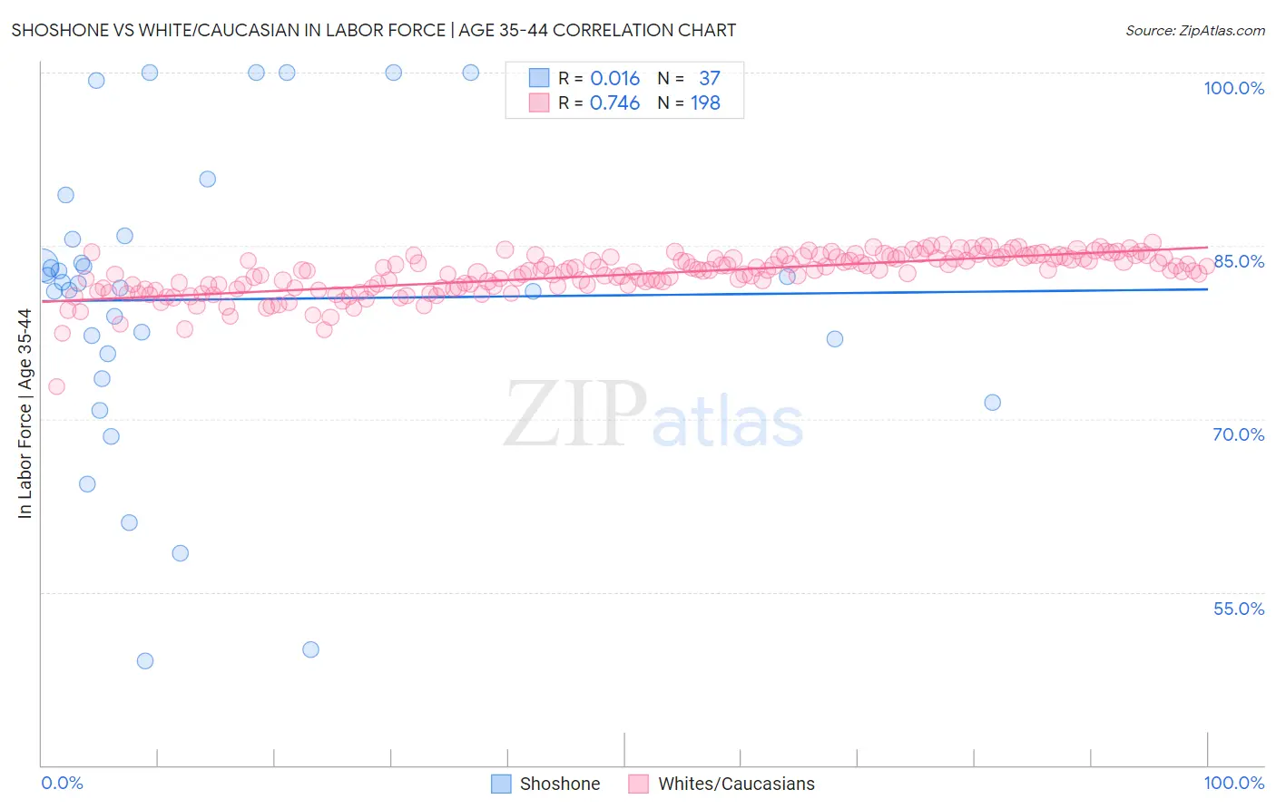 Shoshone vs White/Caucasian In Labor Force | Age 35-44