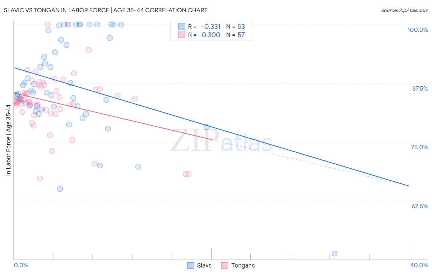 Slavic vs Tongan In Labor Force | Age 35-44