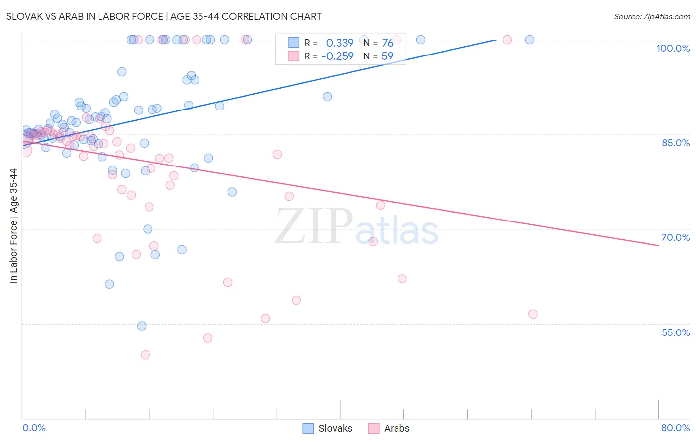 Slovak vs Arab In Labor Force | Age 35-44