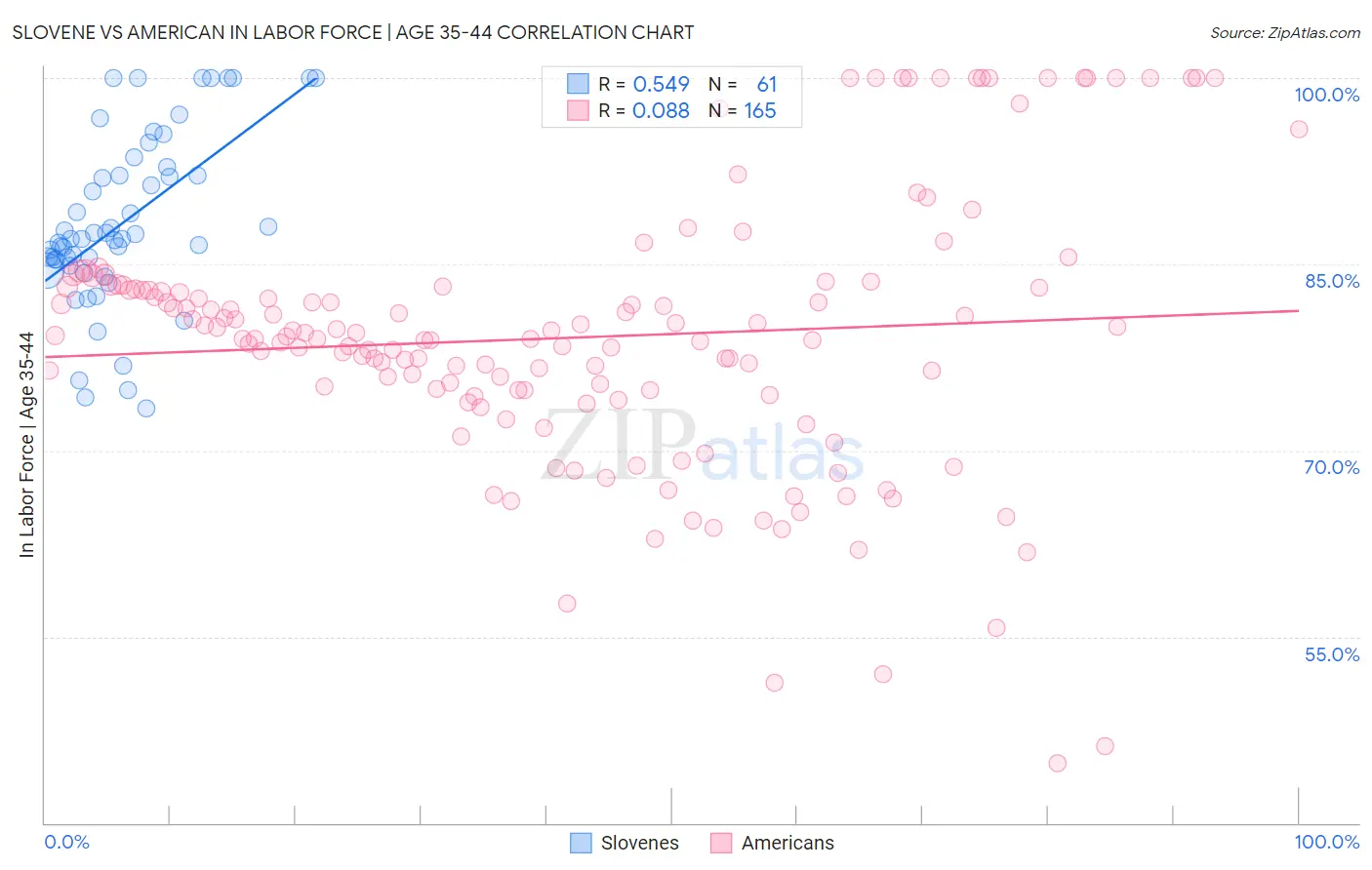 Slovene vs American In Labor Force | Age 35-44