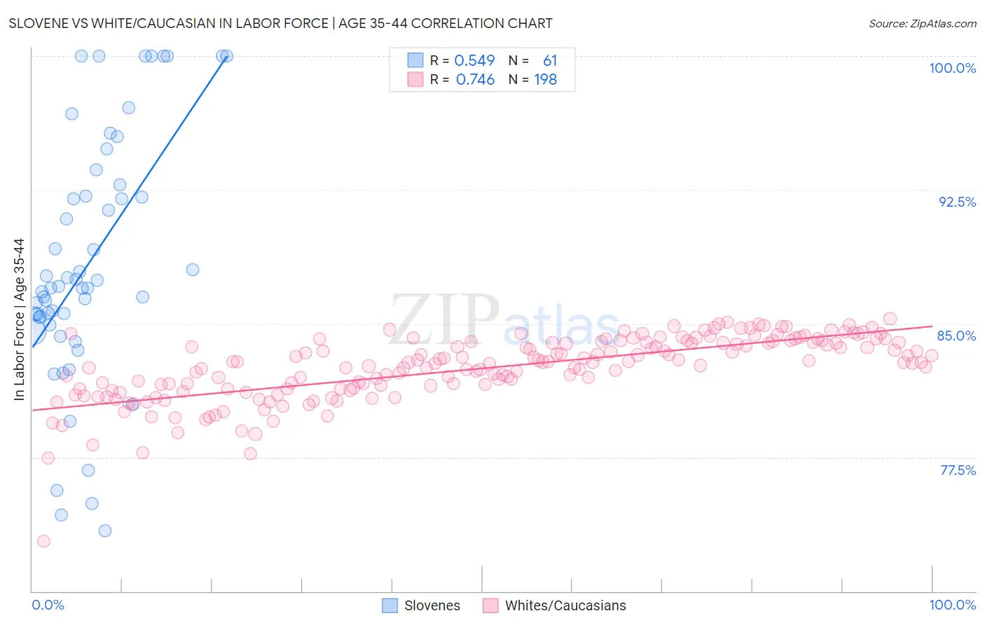 Slovene vs White/Caucasian In Labor Force | Age 35-44