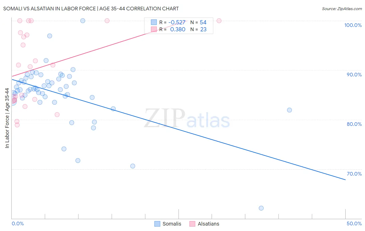 Somali vs Alsatian In Labor Force | Age 35-44