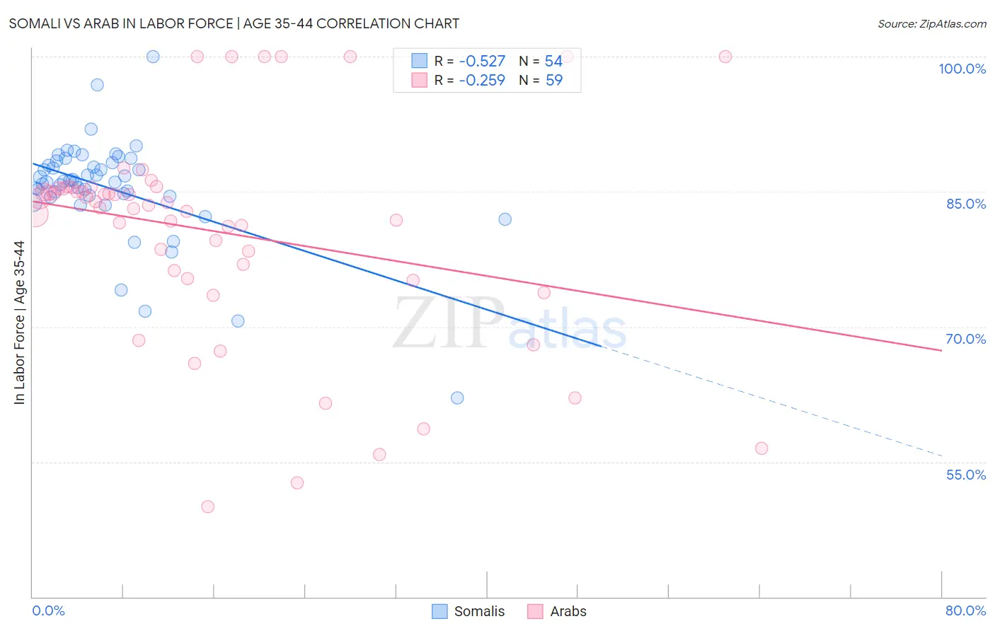 Somali vs Arab In Labor Force | Age 35-44