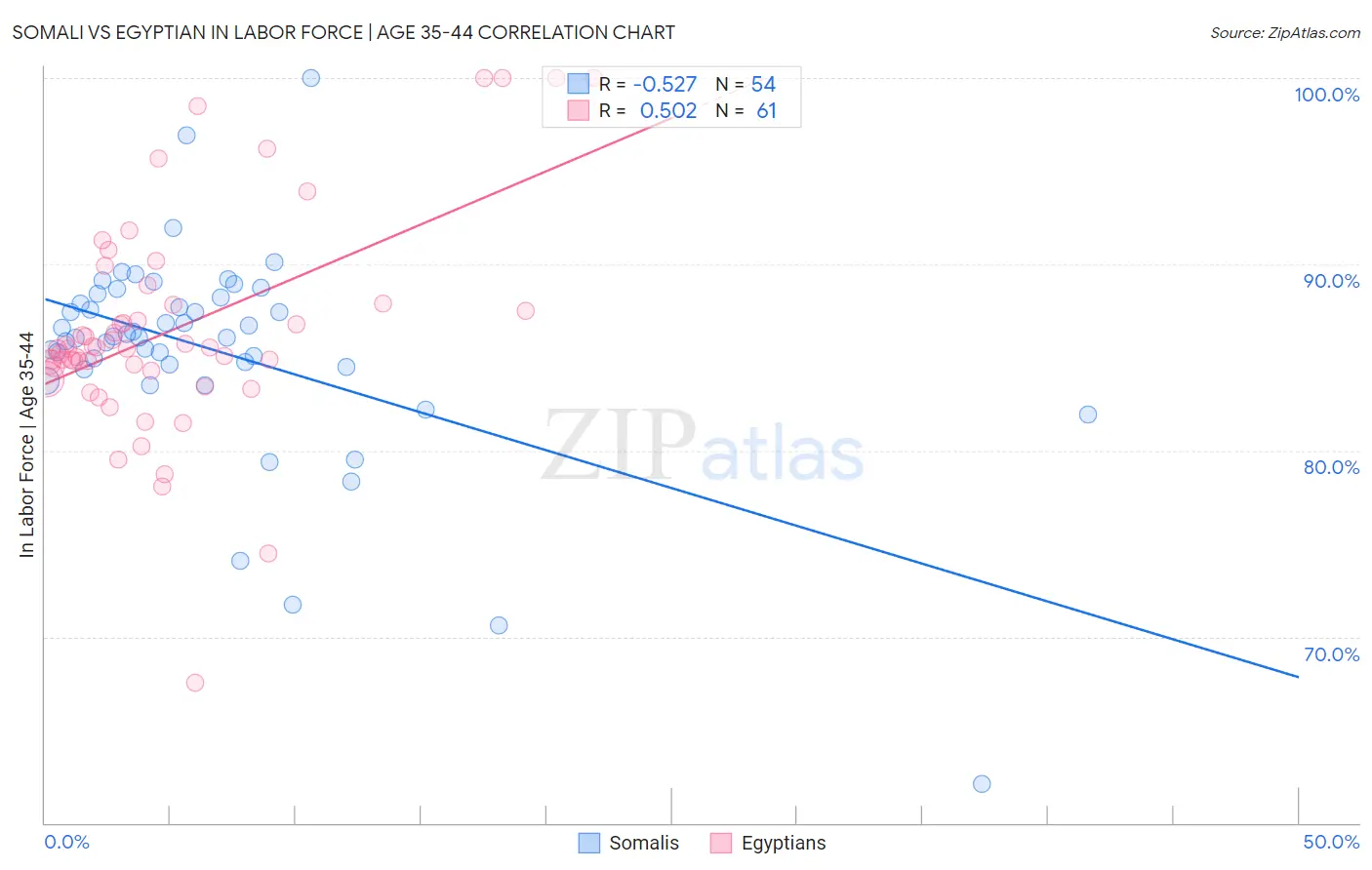 Somali vs Egyptian In Labor Force | Age 35-44