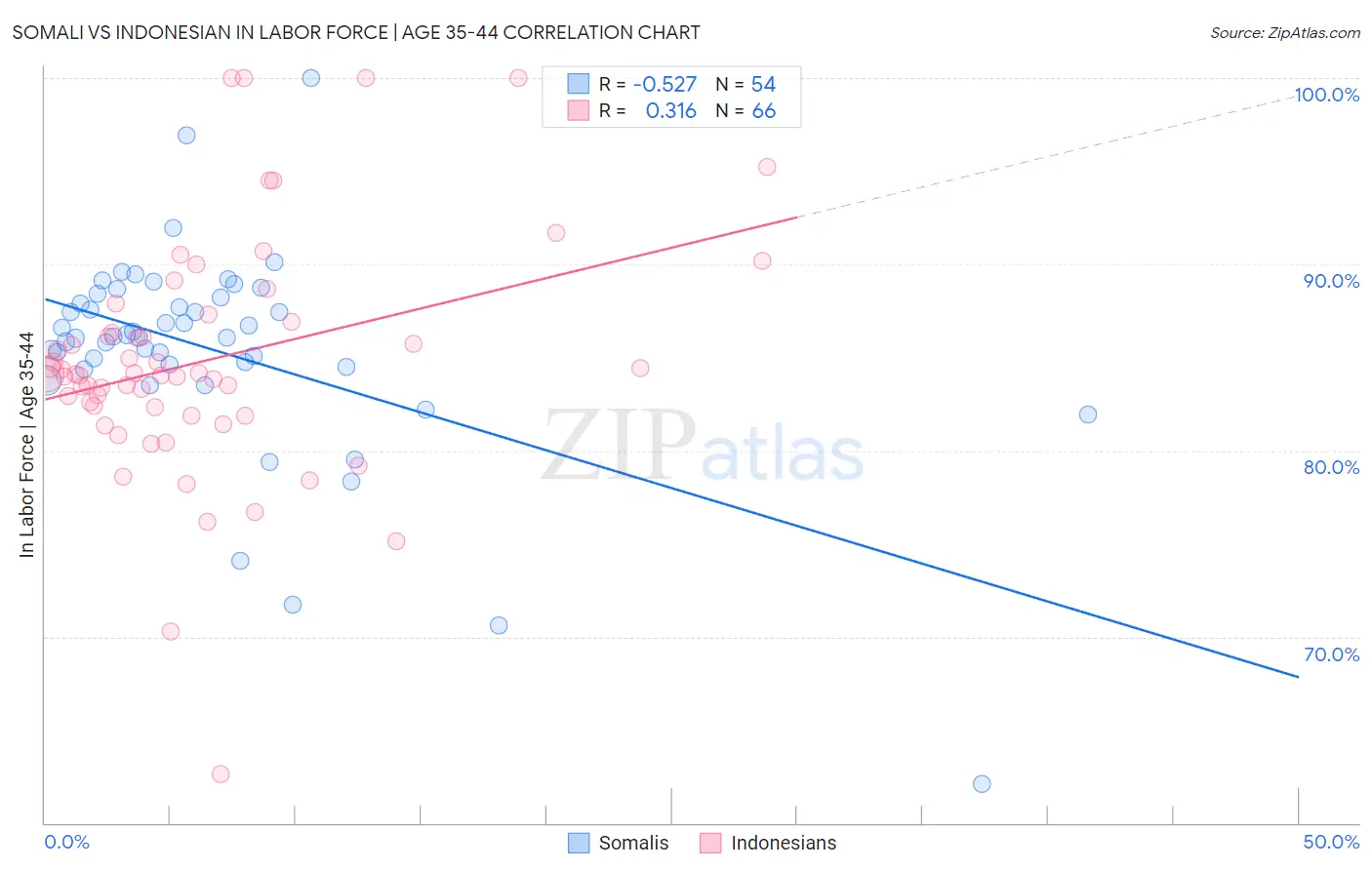 Somali vs Indonesian In Labor Force | Age 35-44