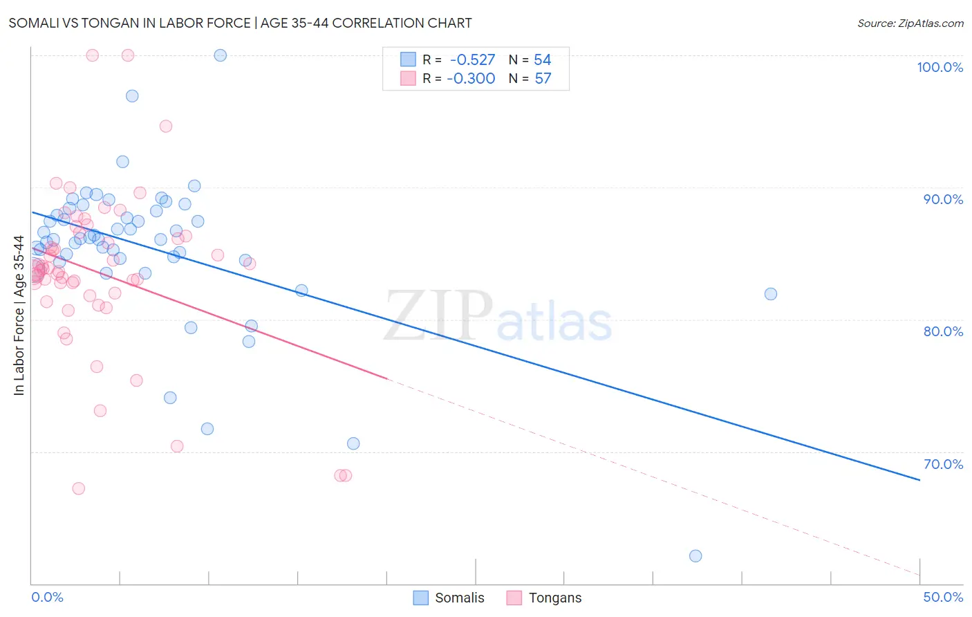 Somali vs Tongan In Labor Force | Age 35-44