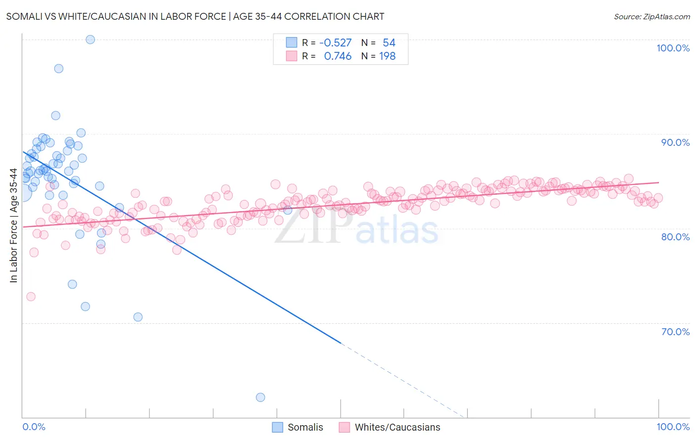 Somali vs White/Caucasian In Labor Force | Age 35-44