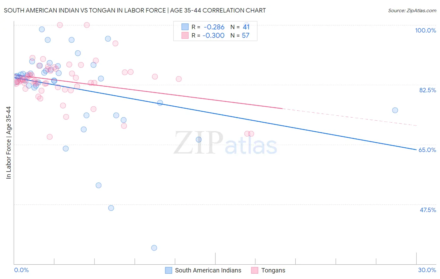 South American Indian vs Tongan In Labor Force | Age 35-44