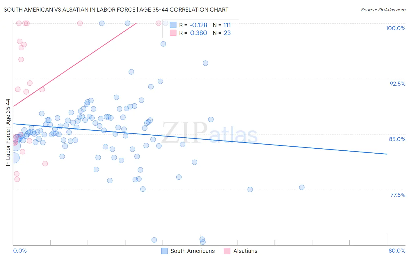 South American vs Alsatian In Labor Force | Age 35-44