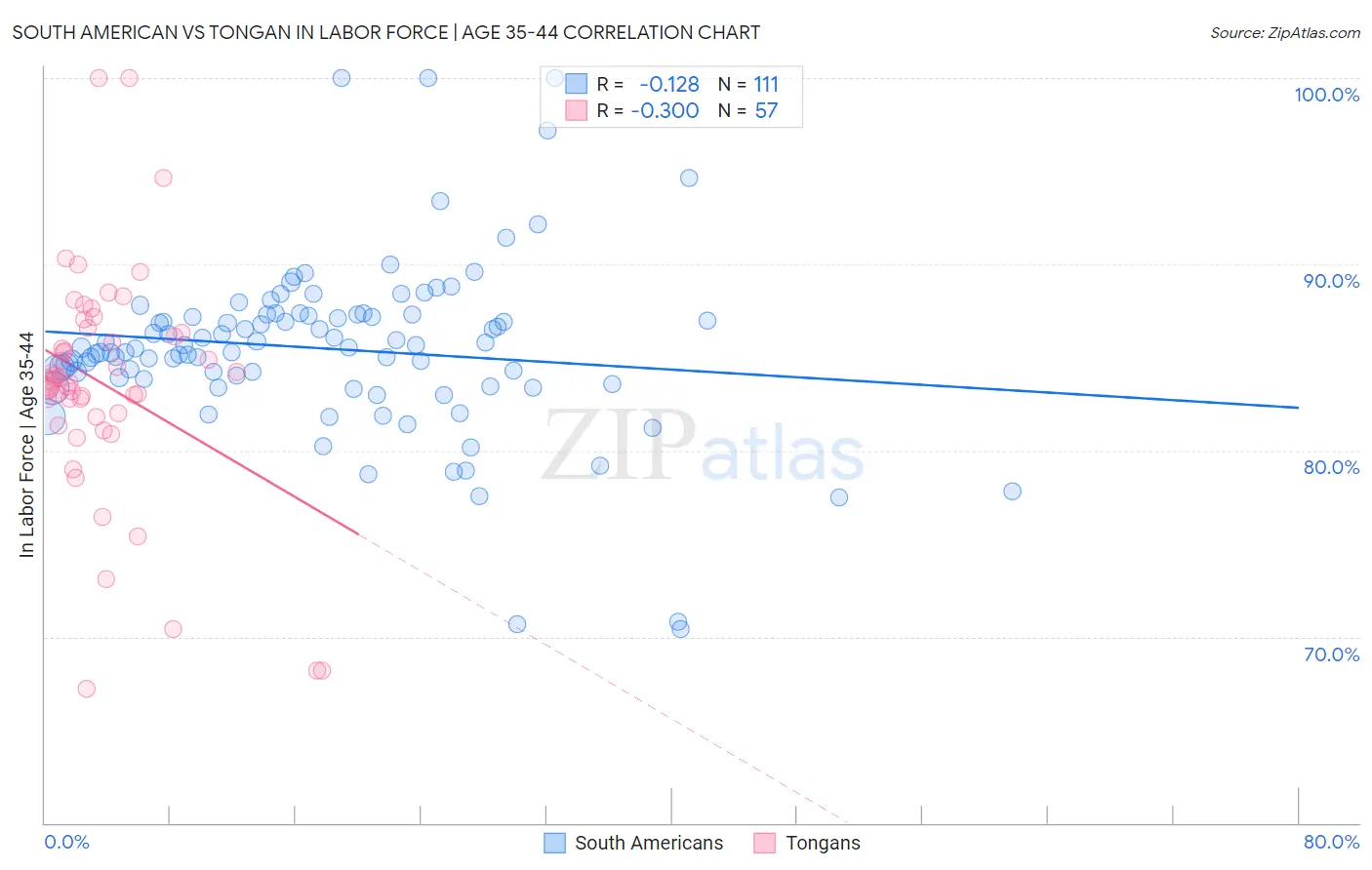 South American vs Tongan In Labor Force | Age 35-44