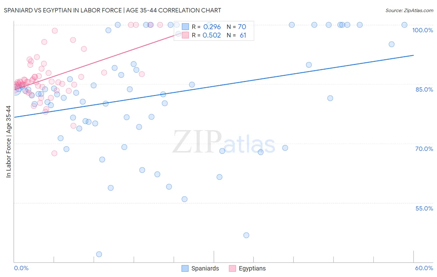 Spaniard vs Egyptian In Labor Force | Age 35-44