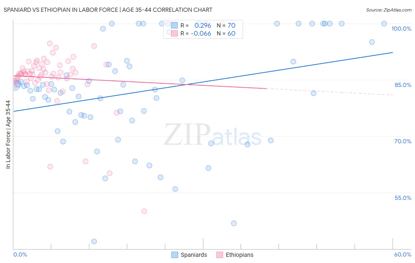 Spaniard vs Ethiopian In Labor Force | Age 35-44