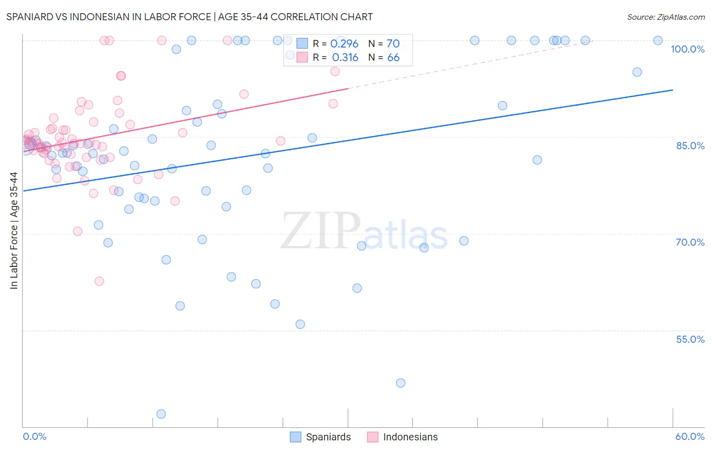 Spaniard vs Indonesian In Labor Force | Age 35-44