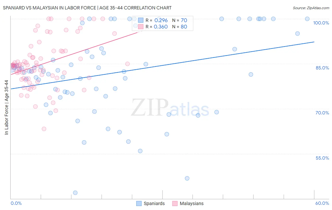 Spaniard vs Malaysian In Labor Force | Age 35-44