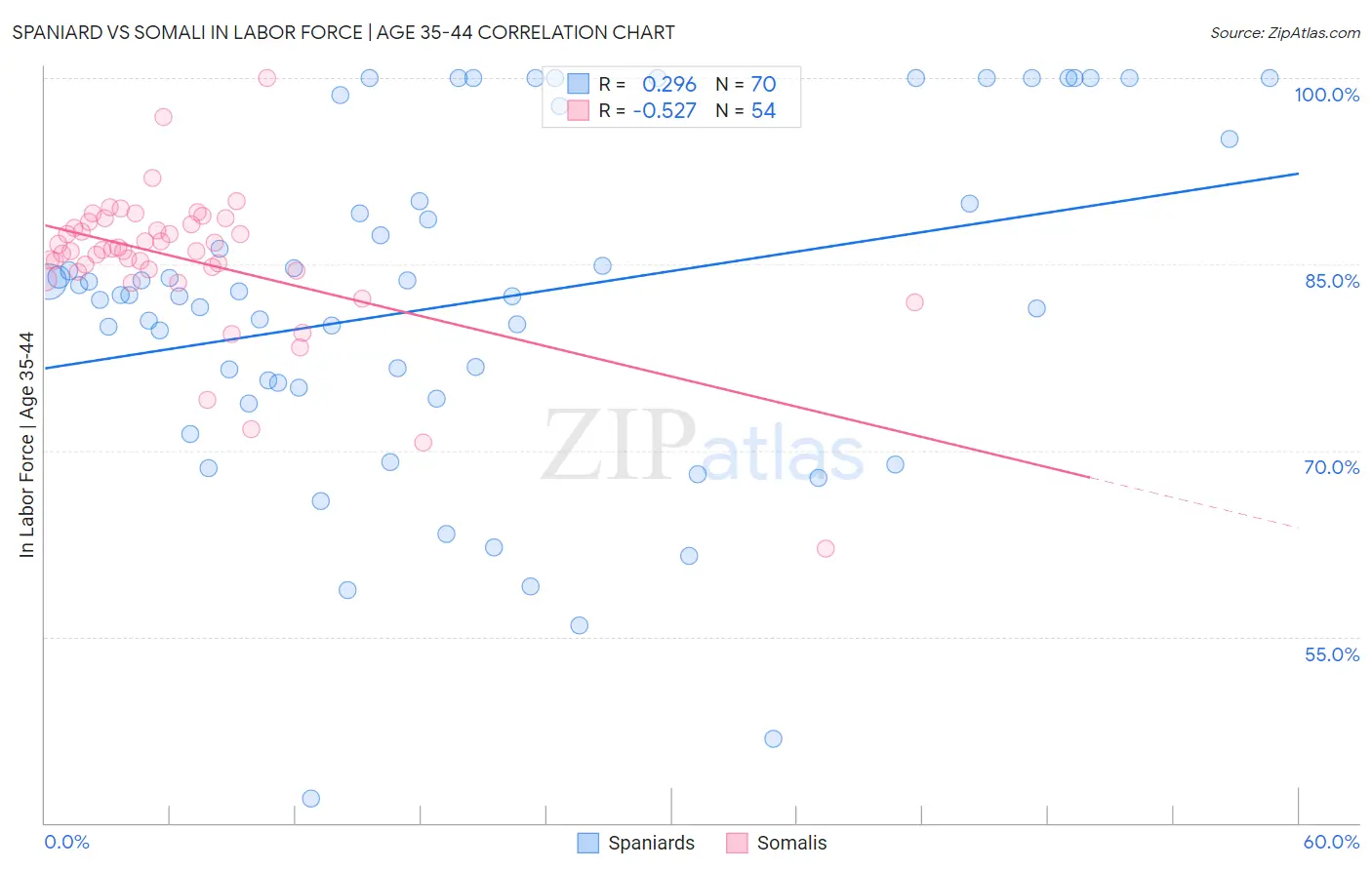 Spaniard vs Somali In Labor Force | Age 35-44