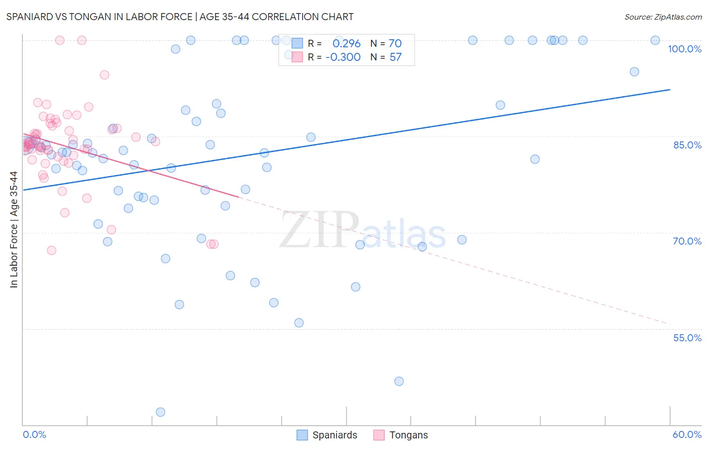 Spaniard vs Tongan In Labor Force | Age 35-44