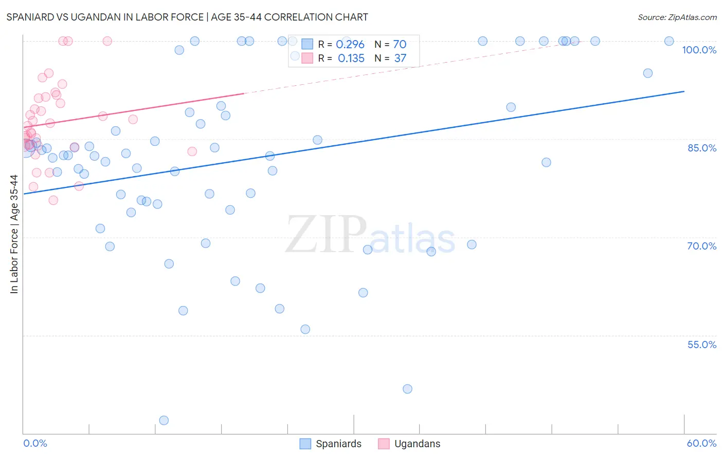 Spaniard vs Ugandan In Labor Force | Age 35-44