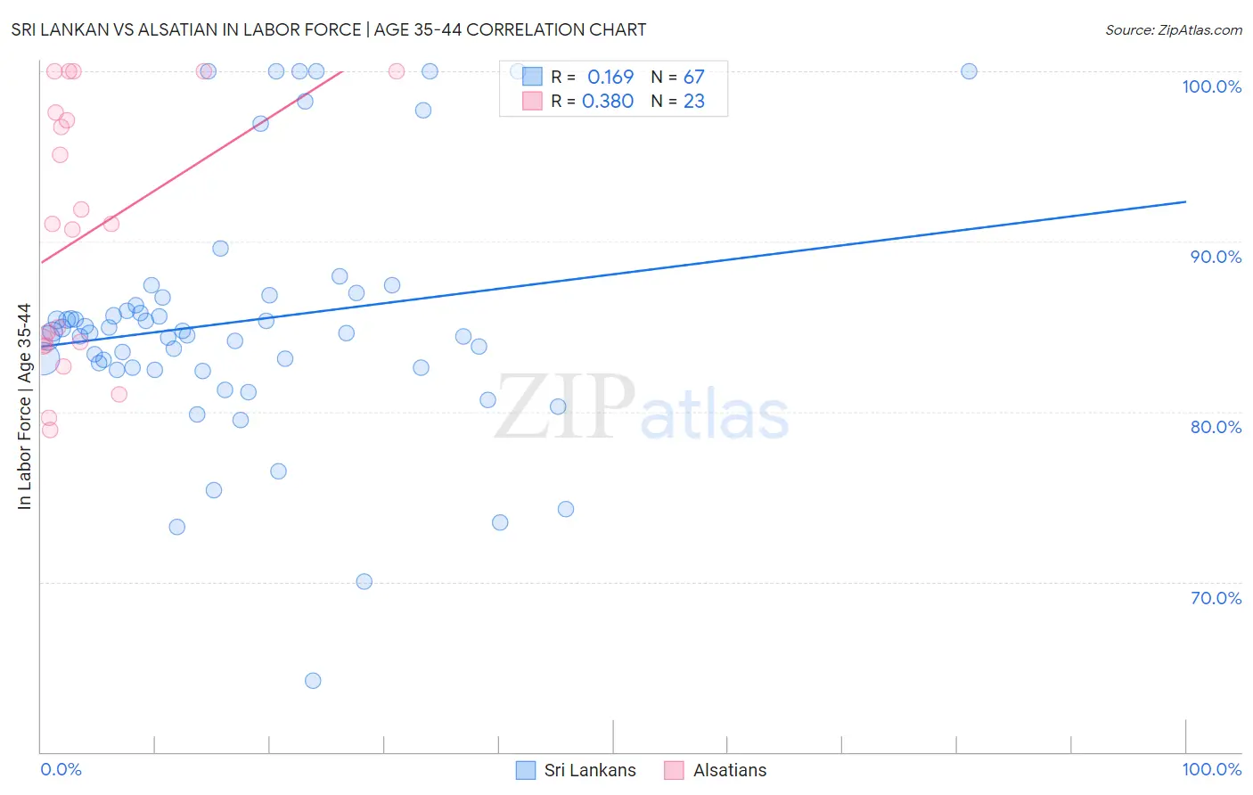 Sri Lankan vs Alsatian In Labor Force | Age 35-44