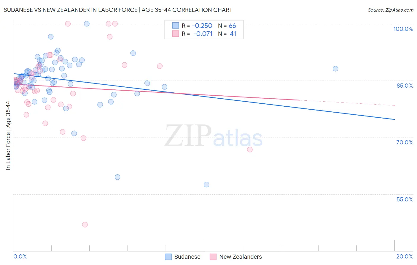 Sudanese vs New Zealander In Labor Force | Age 35-44