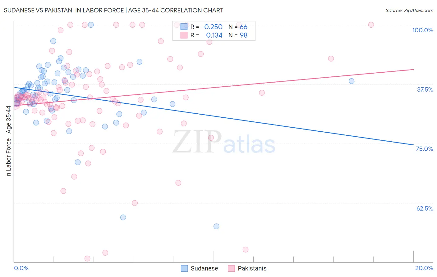 Sudanese vs Pakistani In Labor Force | Age 35-44