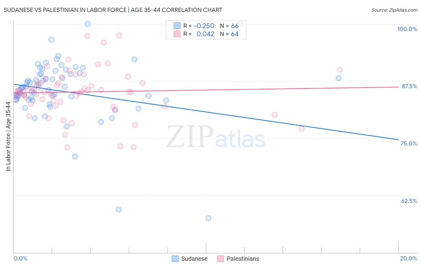 Sudanese vs Palestinian In Labor Force | Age 35-44