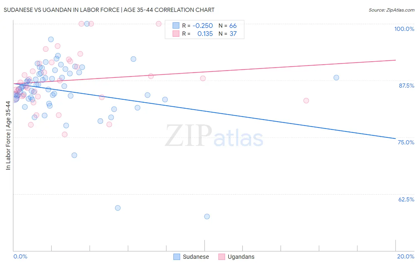 Sudanese vs Ugandan In Labor Force | Age 35-44