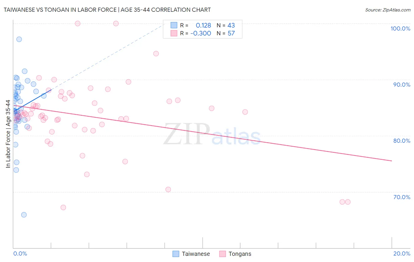 Taiwanese vs Tongan In Labor Force | Age 35-44