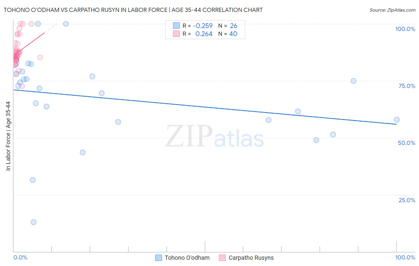 Tohono O'odham vs Carpatho Rusyn In Labor Force | Age 35-44