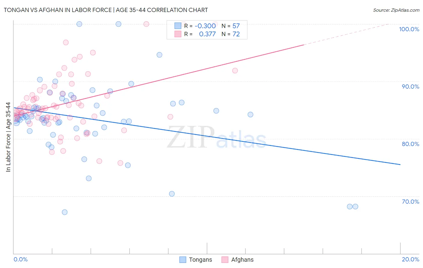 Tongan vs Afghan In Labor Force | Age 35-44