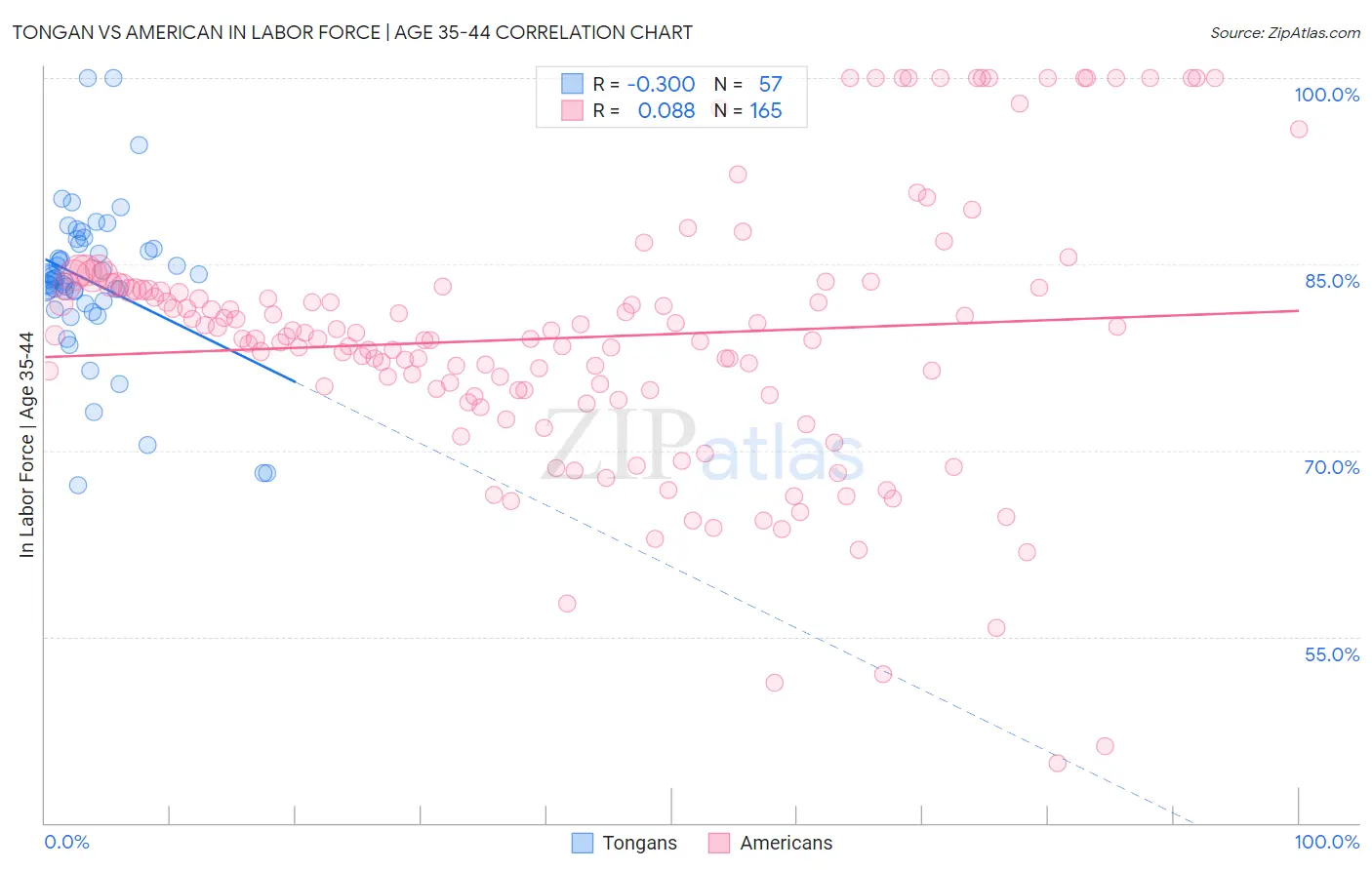 Tongan vs American In Labor Force | Age 35-44