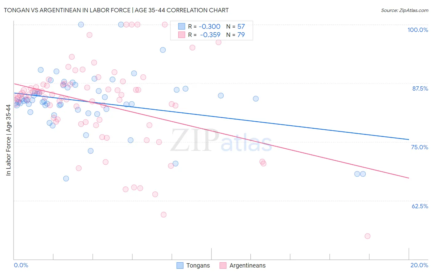 Tongan vs Argentinean In Labor Force | Age 35-44