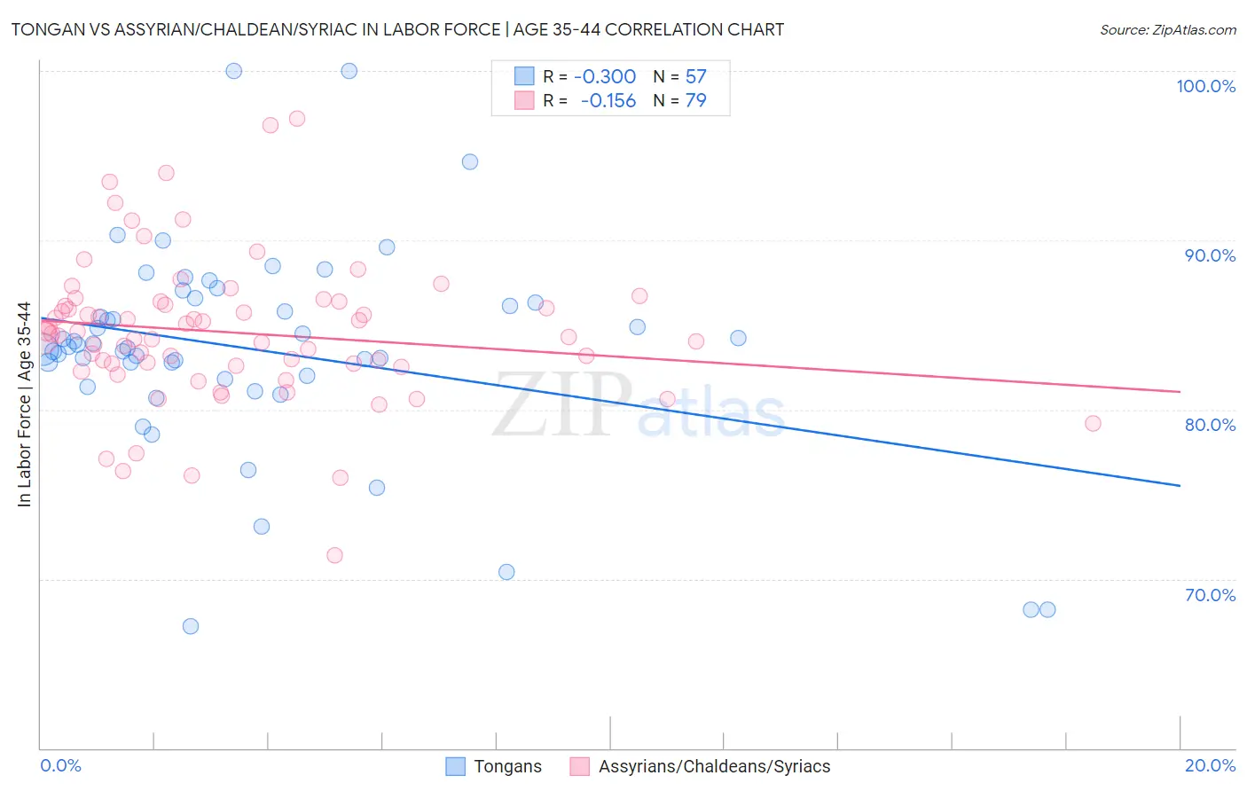 Tongan vs Assyrian/Chaldean/Syriac In Labor Force | Age 35-44