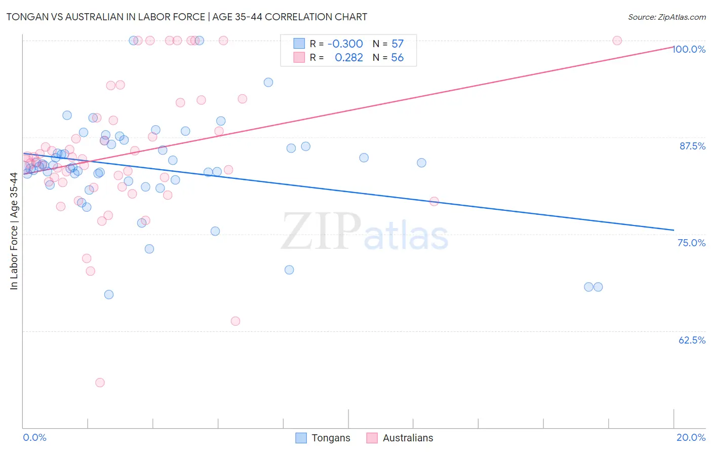 Tongan vs Australian In Labor Force | Age 35-44