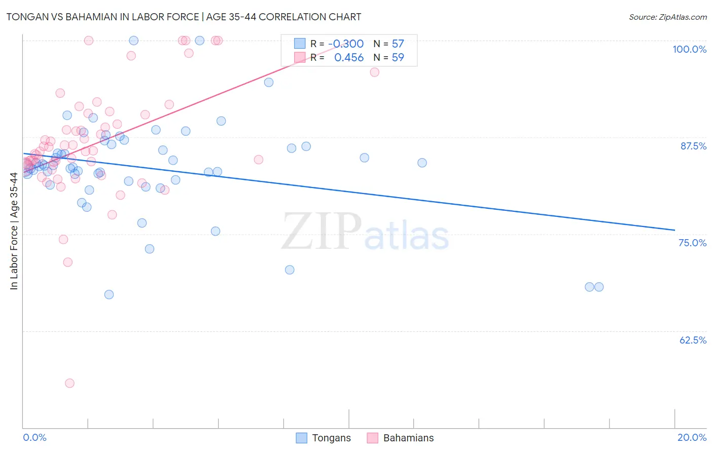 Tongan vs Bahamian In Labor Force | Age 35-44