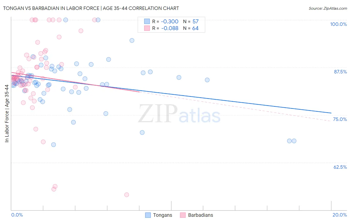 Tongan vs Barbadian In Labor Force | Age 35-44