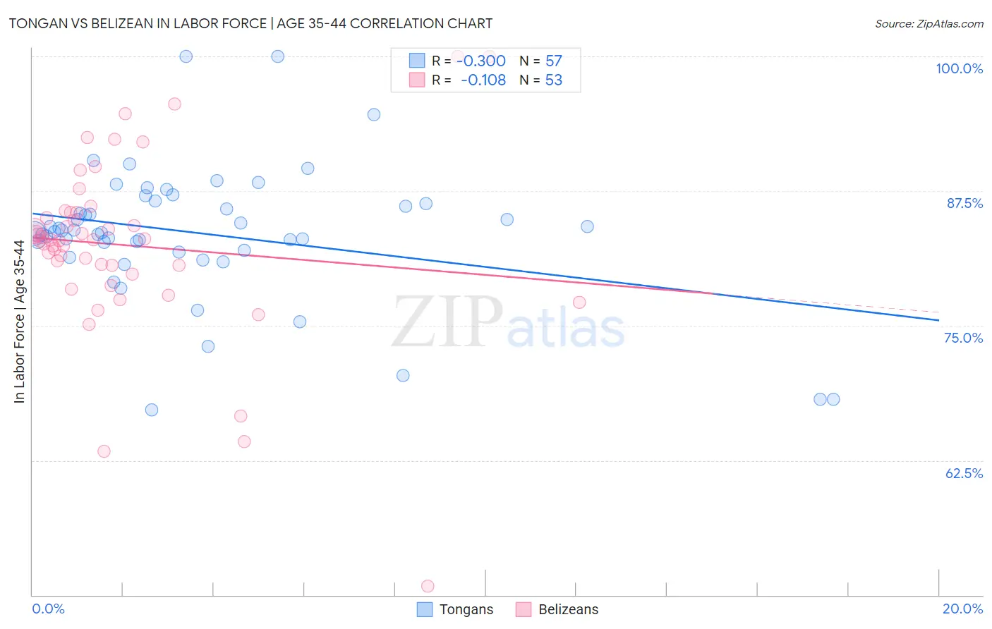 Tongan vs Belizean In Labor Force | Age 35-44