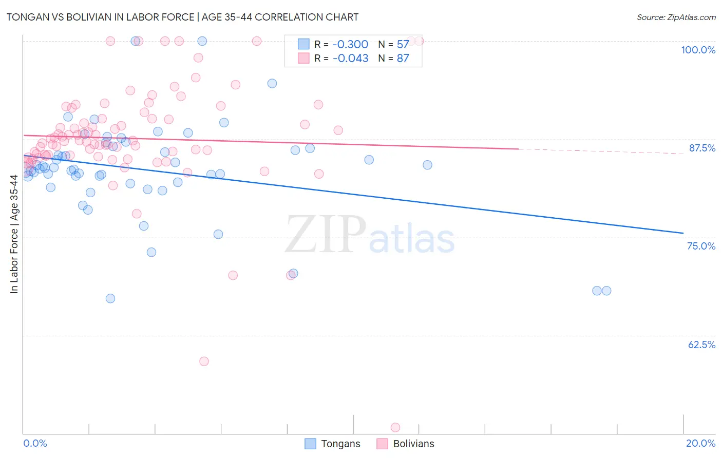 Tongan vs Bolivian In Labor Force | Age 35-44