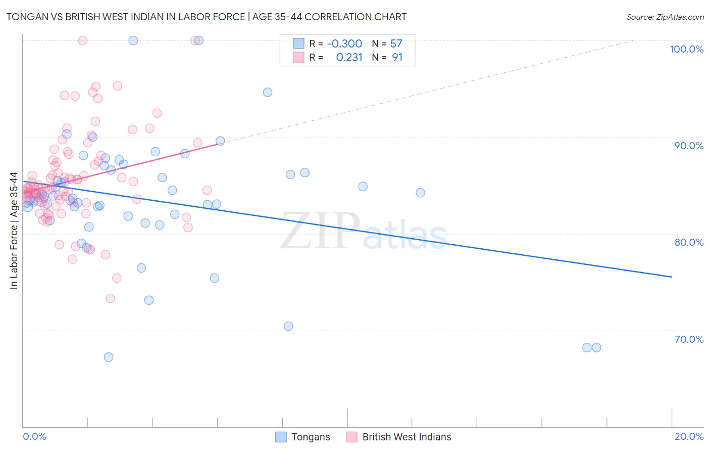 Tongan vs British West Indian In Labor Force | Age 35-44