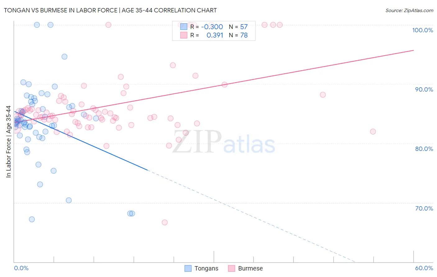 Tongan vs Burmese In Labor Force | Age 35-44