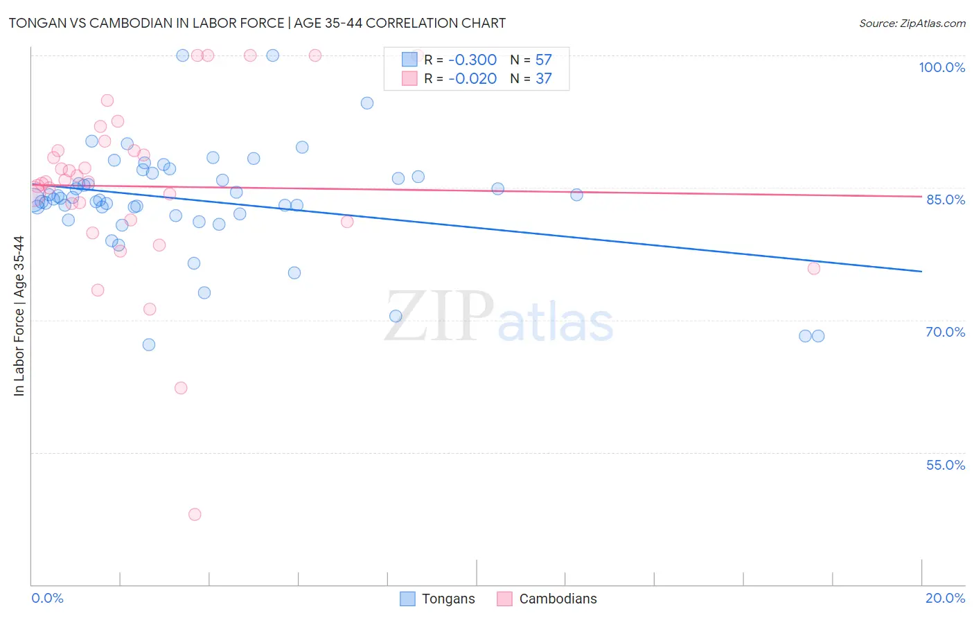 Tongan vs Cambodian In Labor Force | Age 35-44