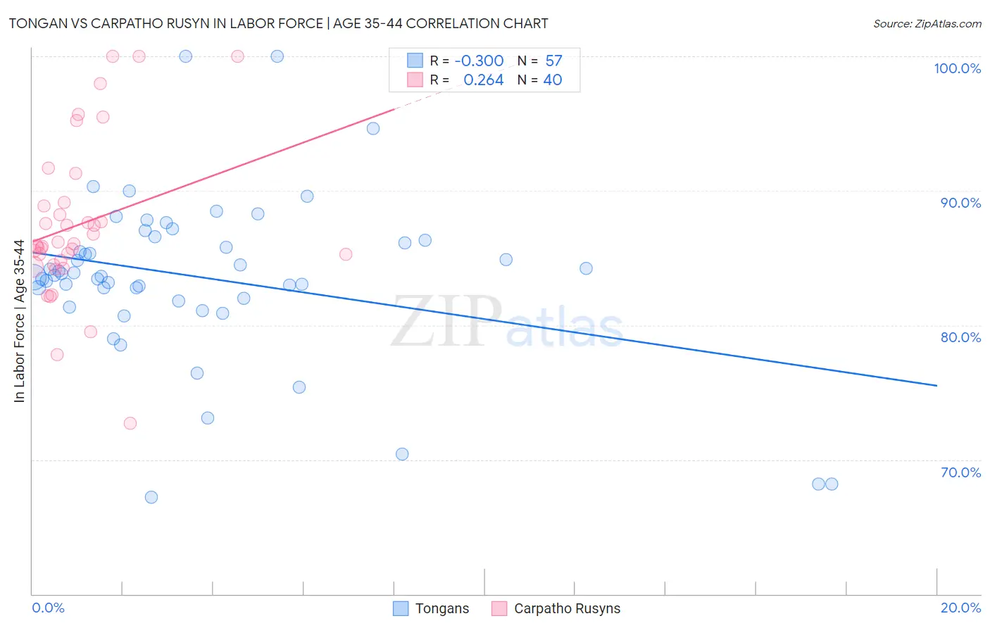 Tongan vs Carpatho Rusyn In Labor Force | Age 35-44