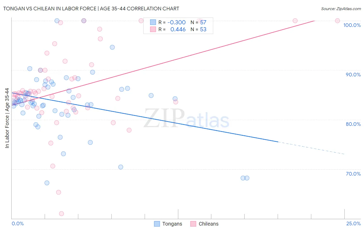 Tongan vs Chilean In Labor Force | Age 35-44