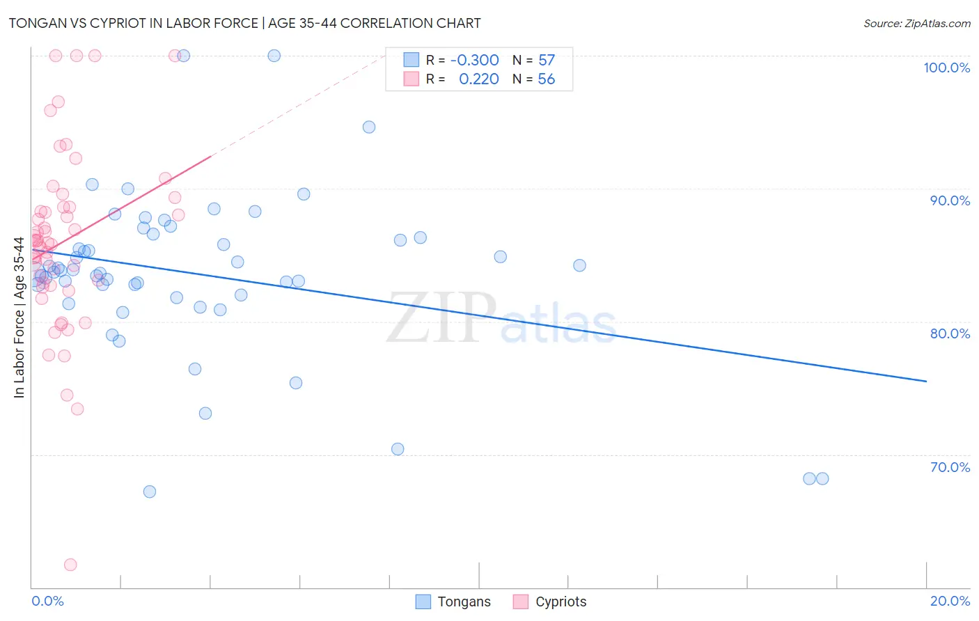 Tongan vs Cypriot In Labor Force | Age 35-44