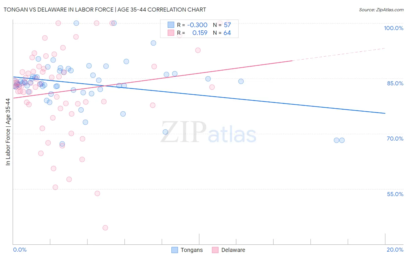 Tongan vs Delaware In Labor Force | Age 35-44