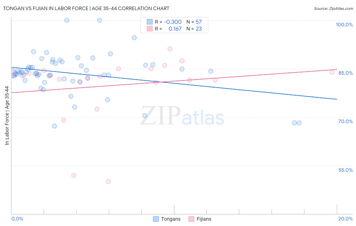 Tongan vs Fijian In Labor Force | Age 35-44